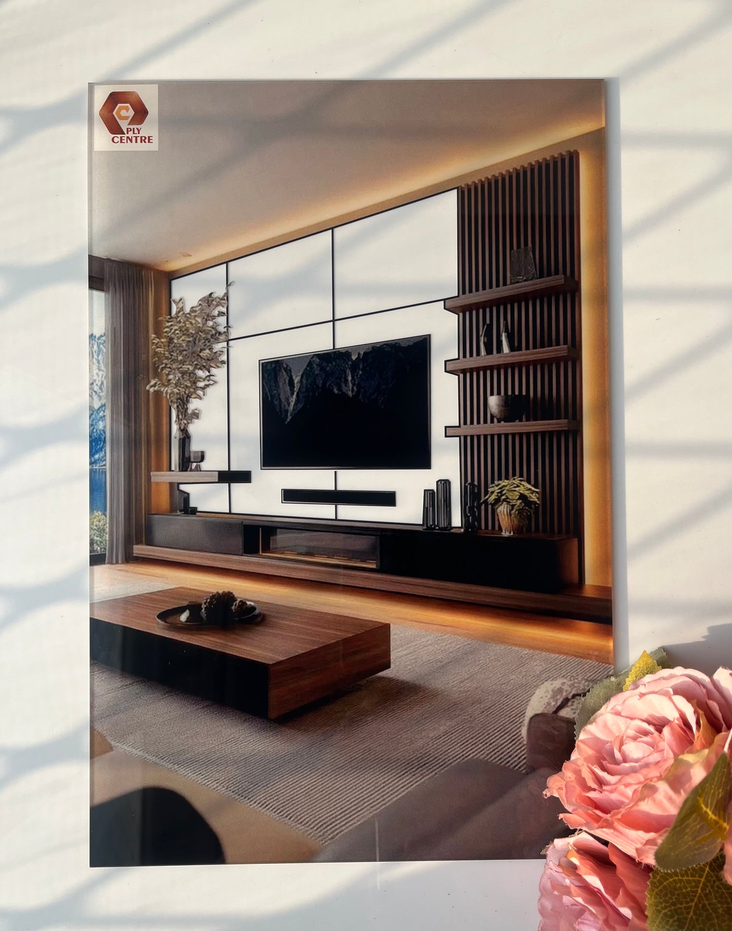 Tv Unit Selector